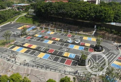 重庆停车爆料视频播放,视频揭秘街头停车冲突瞬间