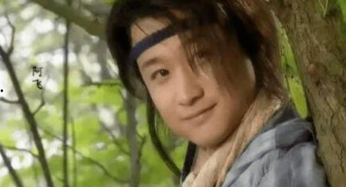 阿飞爆料吴京视频大全,吴京视频大全背后的精彩瞬间