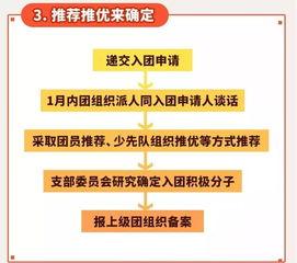公安机关新闻爆料流程图,透明高效的信息发布路径