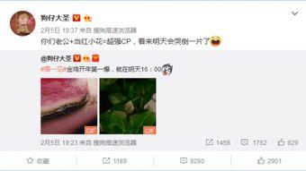 周一爆料预告最新视频,最新视频揭秘神秘事件，悬念重重引关注