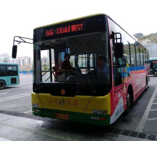 莆田公交车爆料视频最新