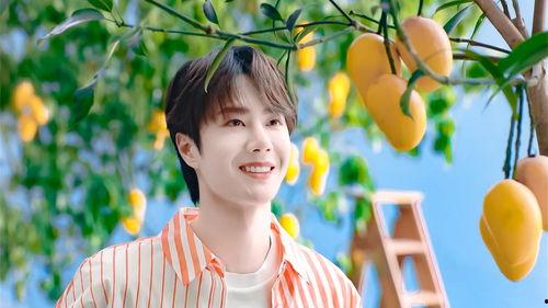 娱乐八卦事件大爆料许凯,揭秘明星背后的故事