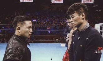 白鲨最新爆料消息视频,揭秘神秘视频背后的惊人真相