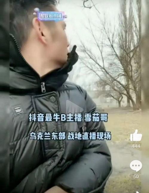 雪茄哥最新爆料,最新爆料带你探秘娱乐圈风云