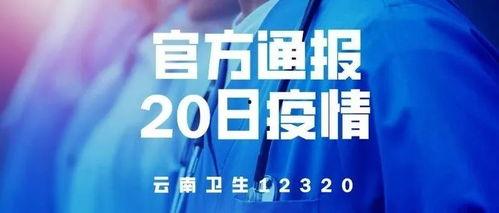 盈江新闻爆料视频大全,聚焦民生热点，展现社会万象